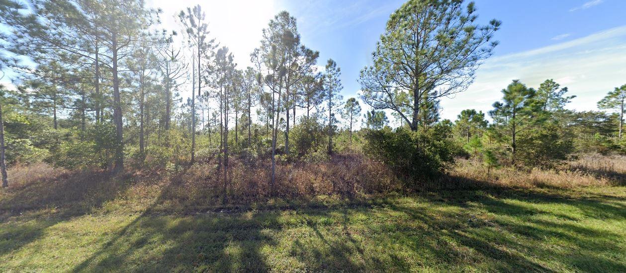 411 Allamanda Drive, FL