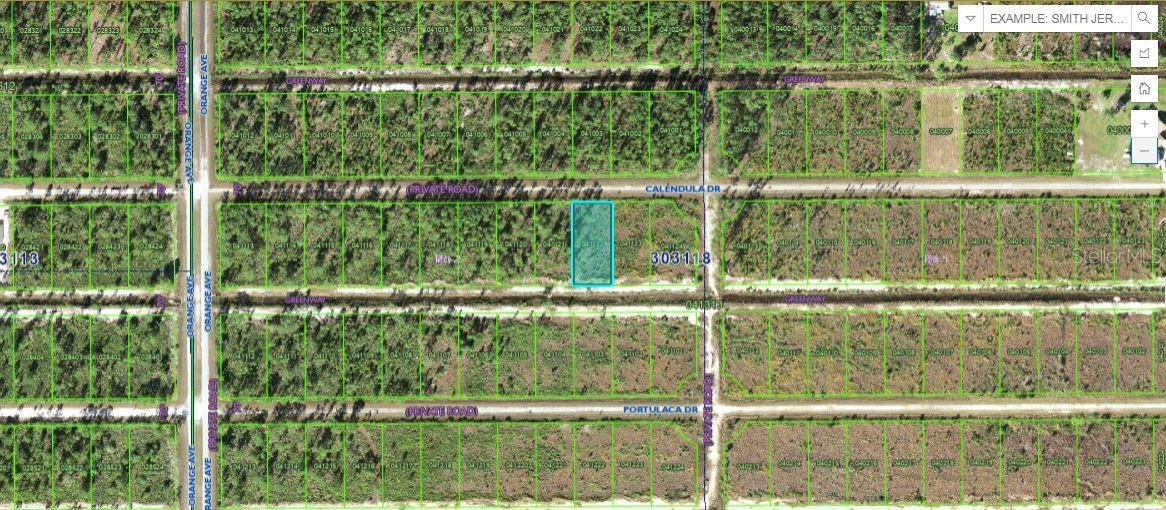 Calendula Drive, FL