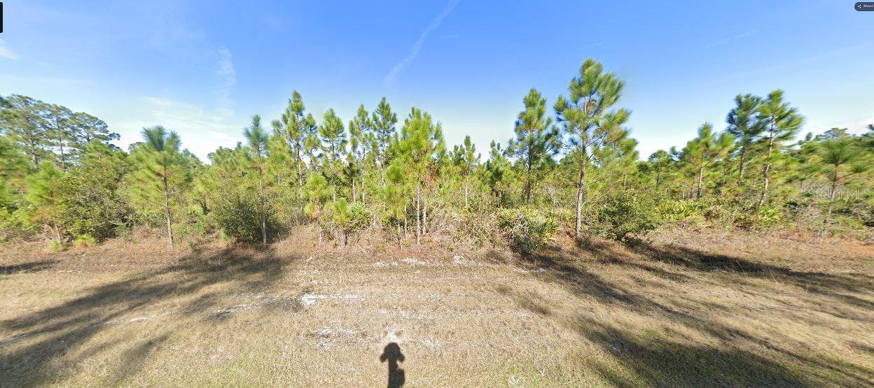 Calendula Drive, FL