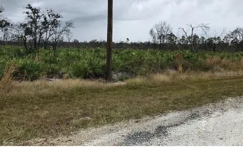 Green Way, FL