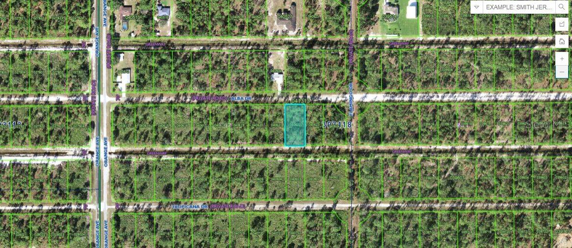 703 Alba Drive, FL