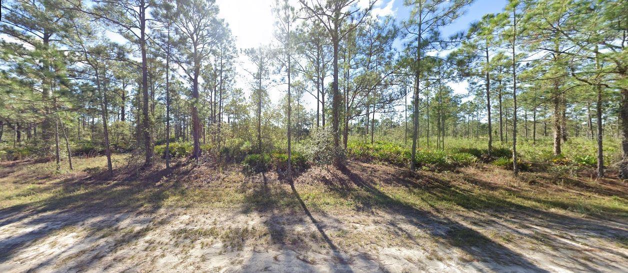 703 Alba Drive, FL
