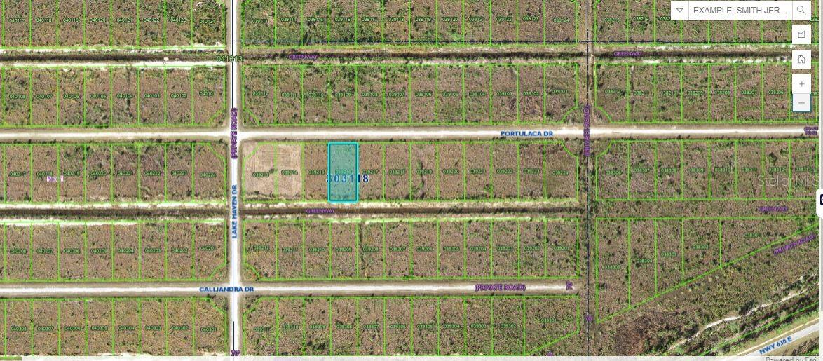 Portulaca Drive, FL