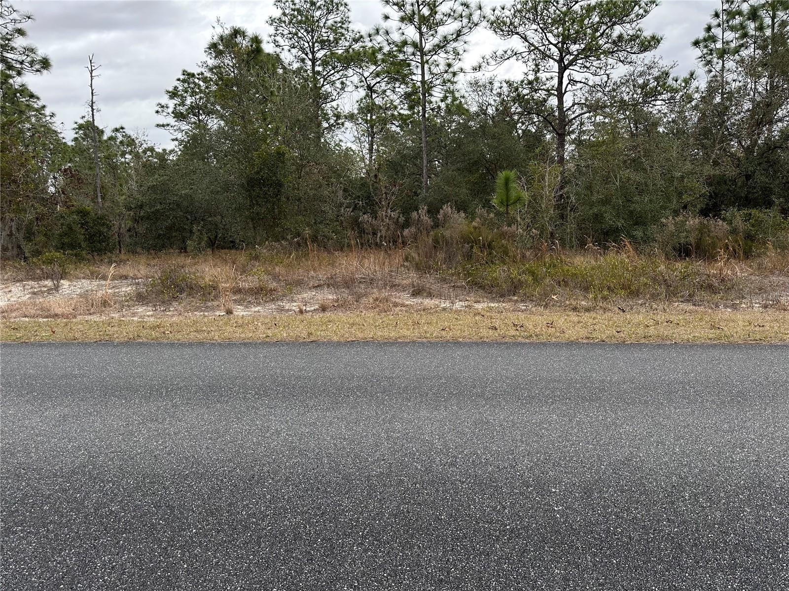 Sw Obee Ridge Rd, FL