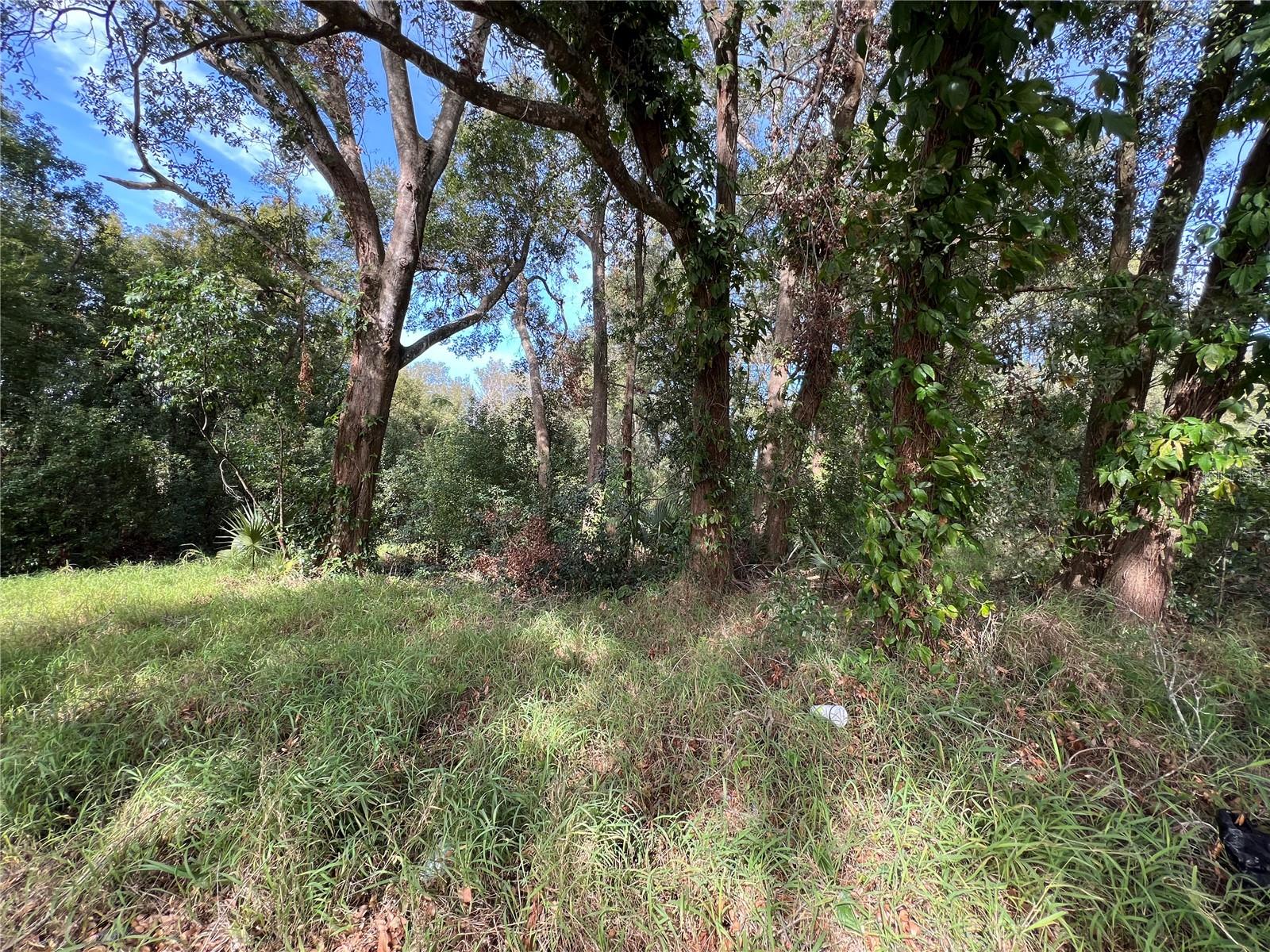 875 Ocoee Apopka Road, FL