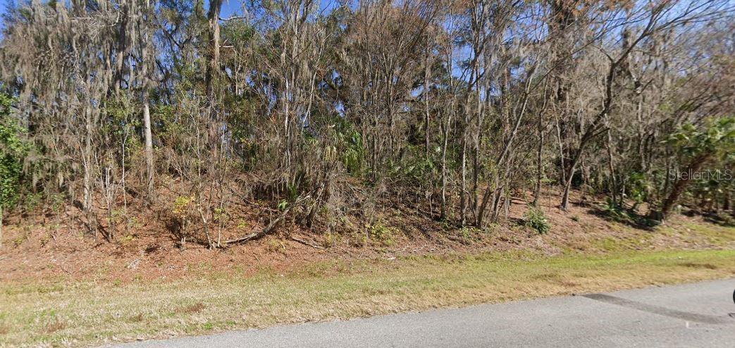 Se Wacahoota Rd, FL