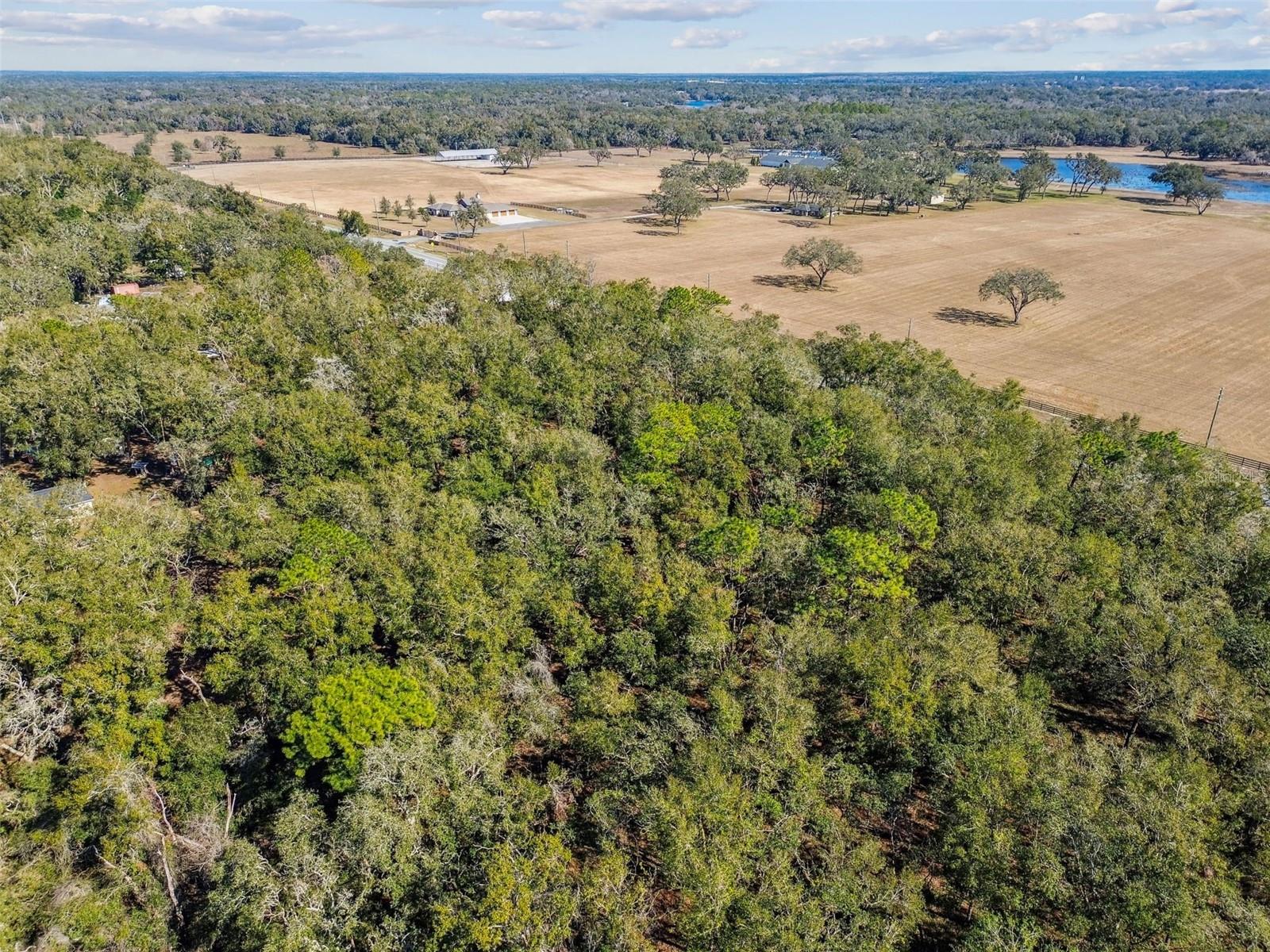 Mckethan Road, FL