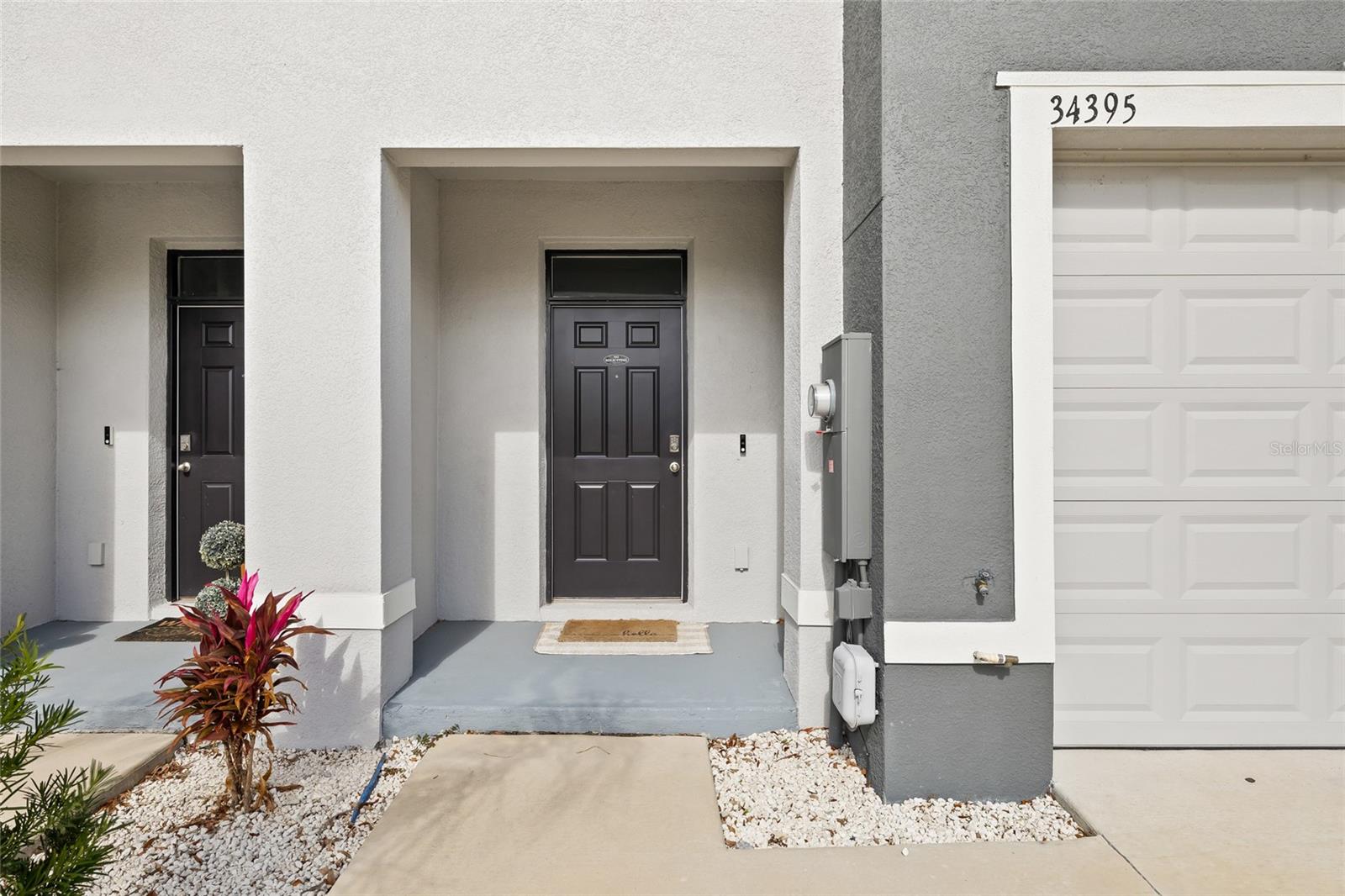 34395 Sorrel Mint Drive, FL
