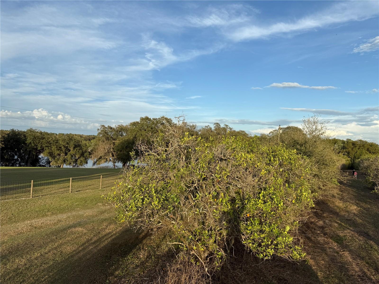 165th Avenue, FL