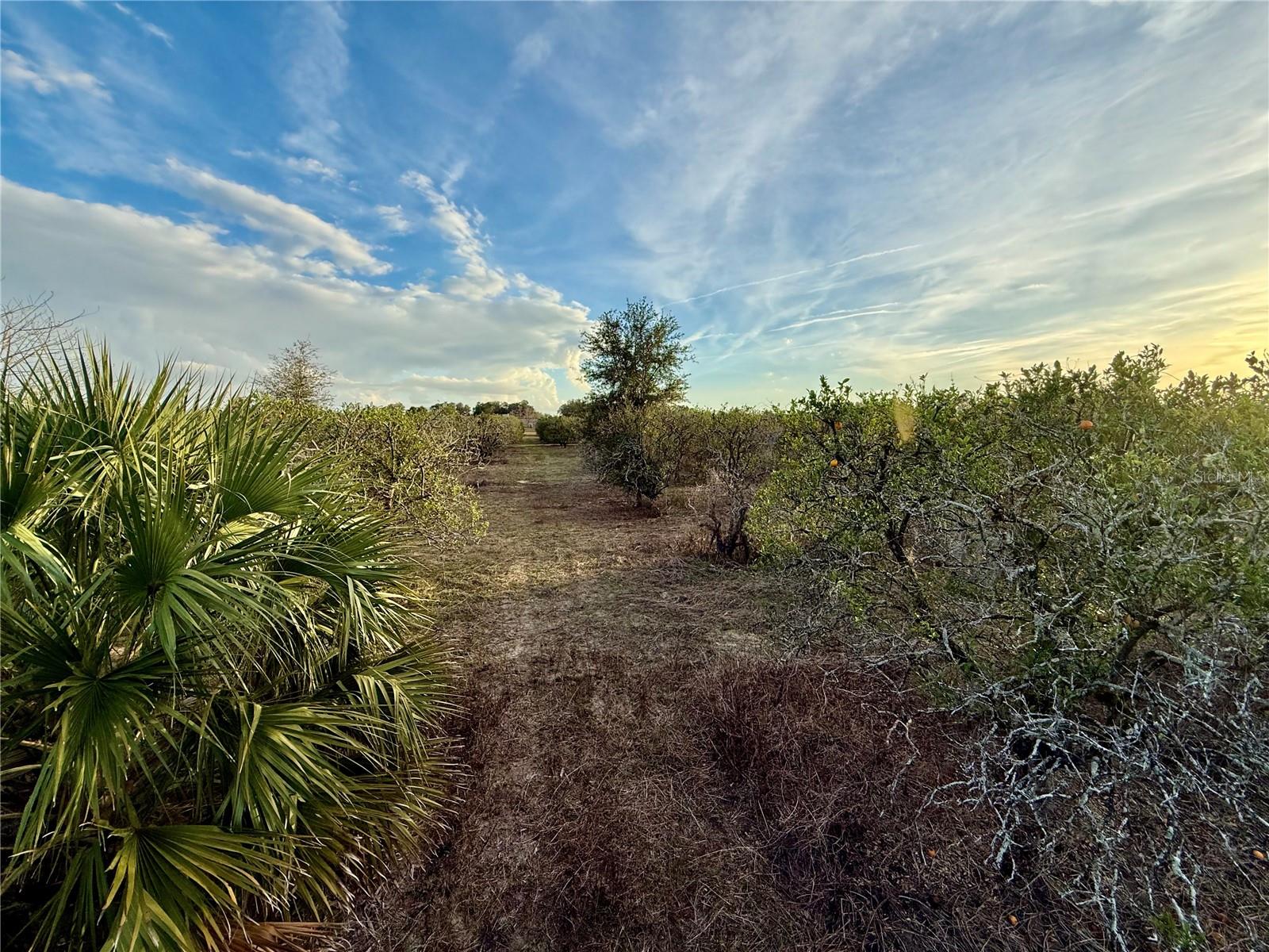 165th Avenue, FL