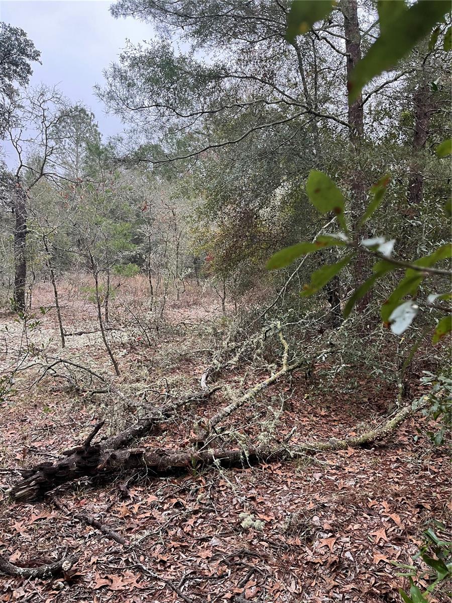 Lot 36 Monines Court, FL