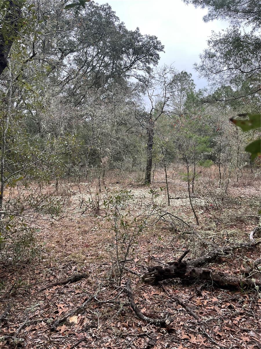 Lot 36 Monines Court, FL