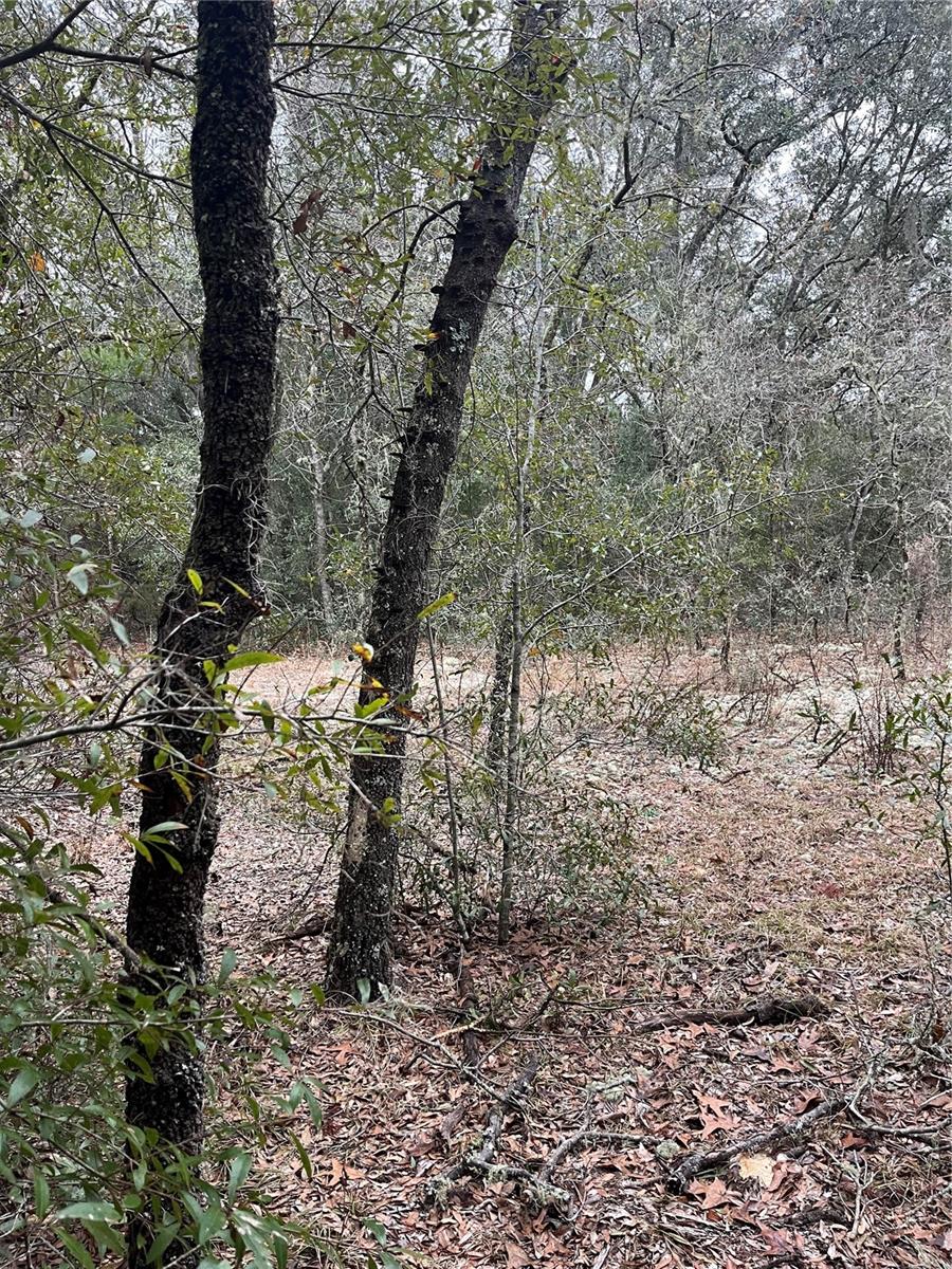 Lot 36 Monines Court, FL