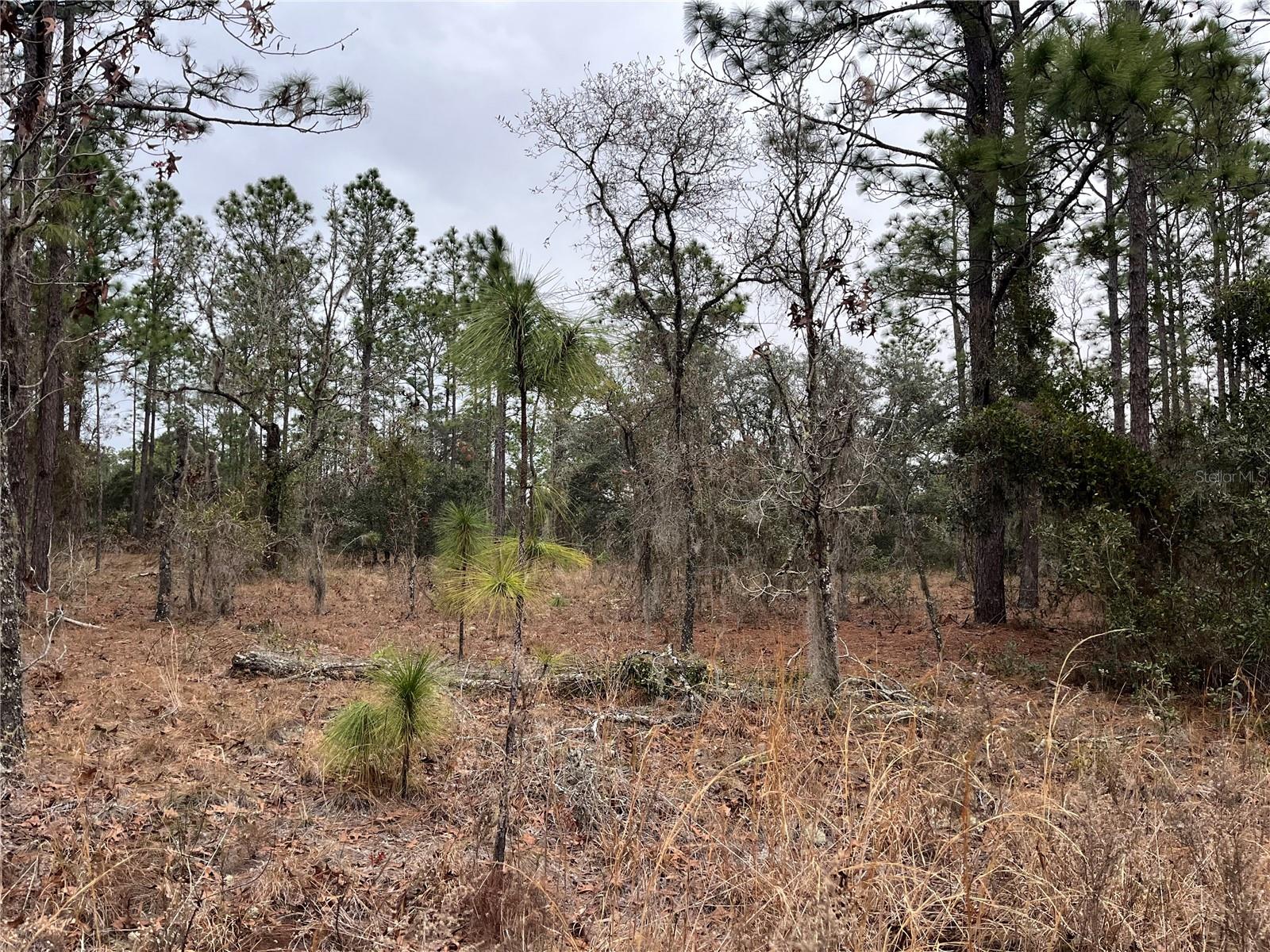 Lot 57 Skylark Street, FL