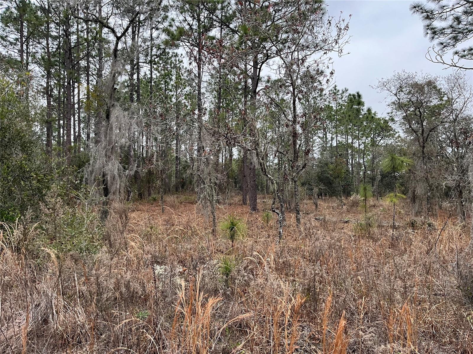 Lot 57 Skylark Street, FL