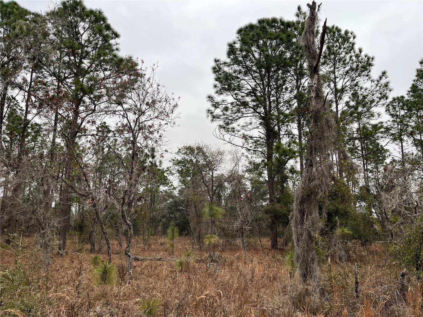 Lot 57 Skylark Street, FL