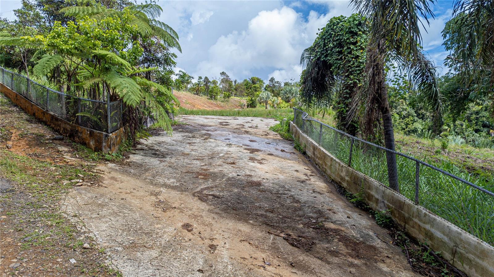 Naranjo Ward Int. Pr 984, PR