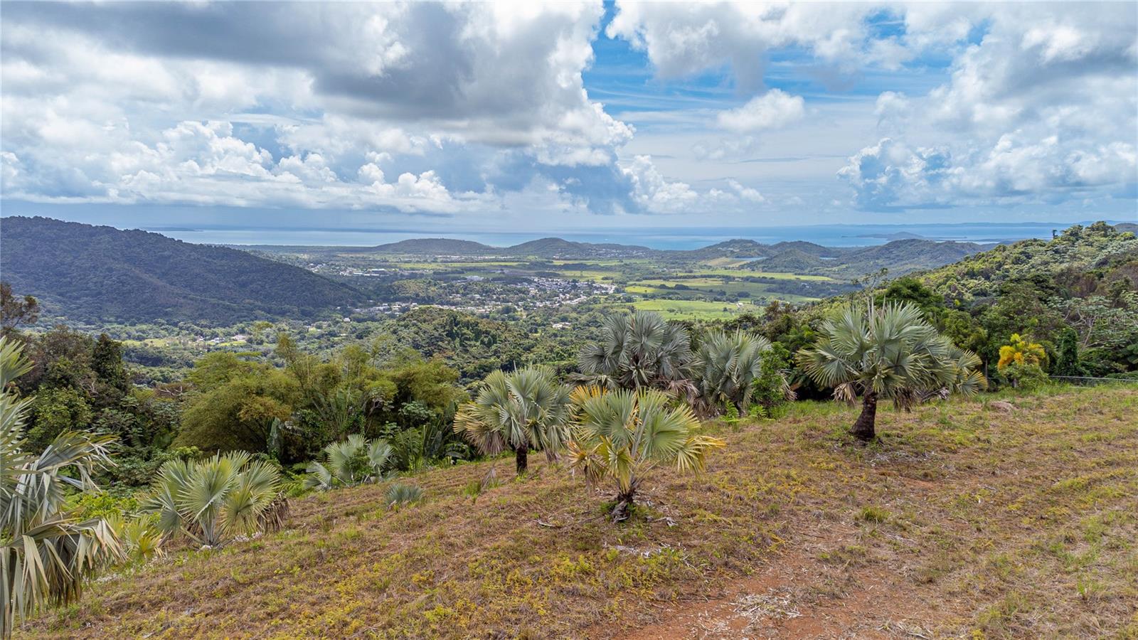 Naranjo Ward Int. Pr 984, PR