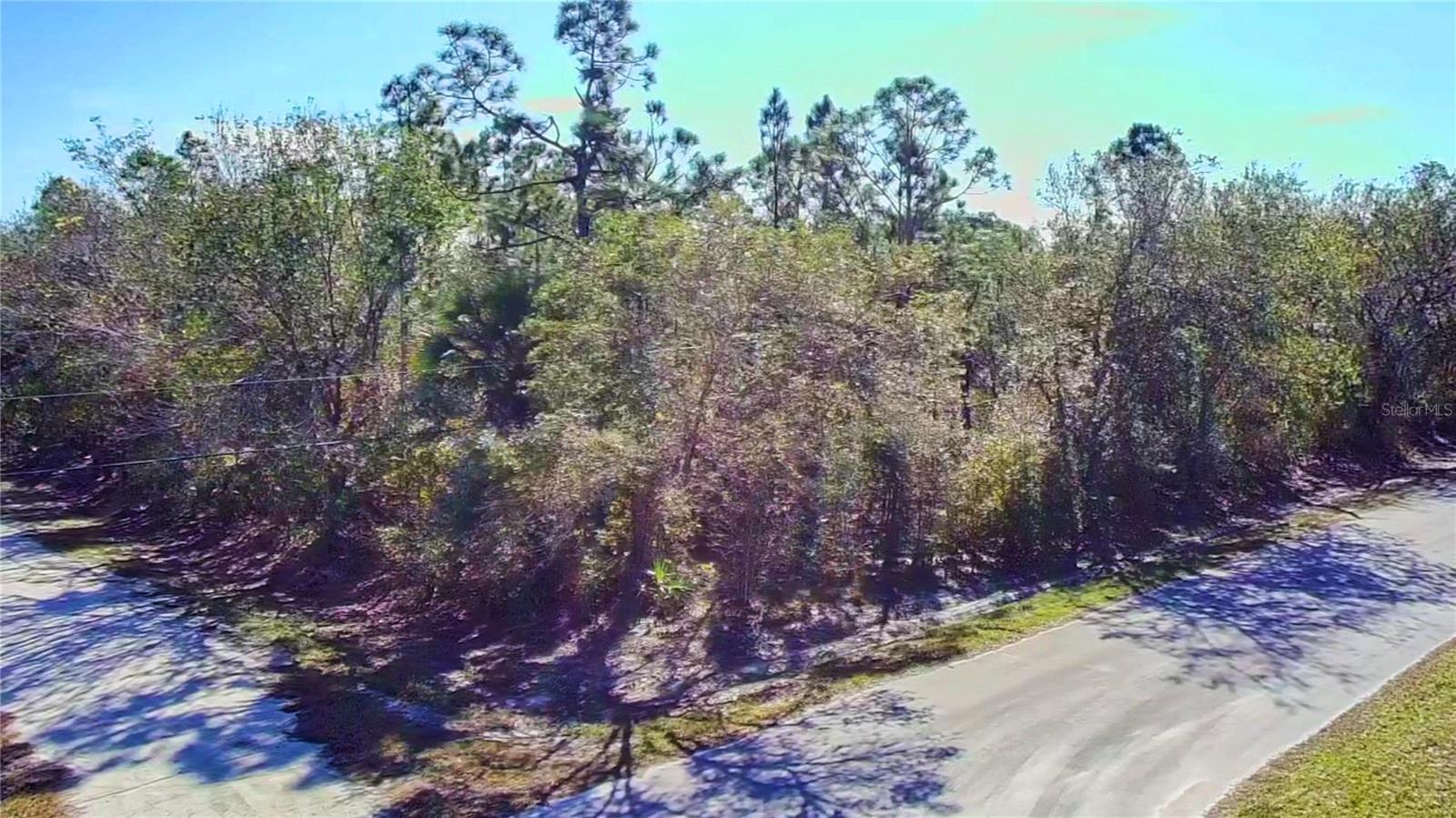 27283 Treadmill Drive, FL