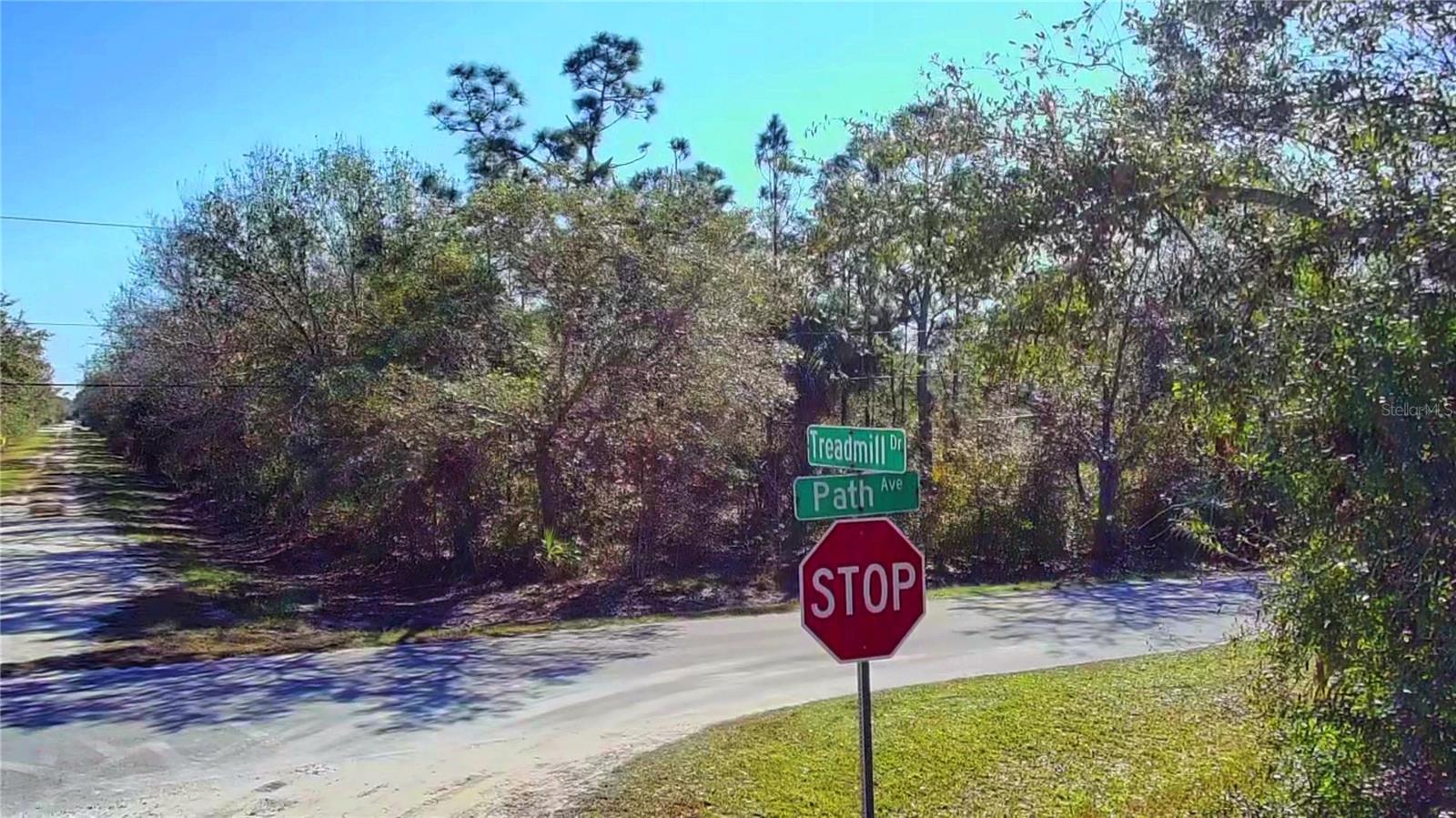 27283 Treadmill Drive, FL