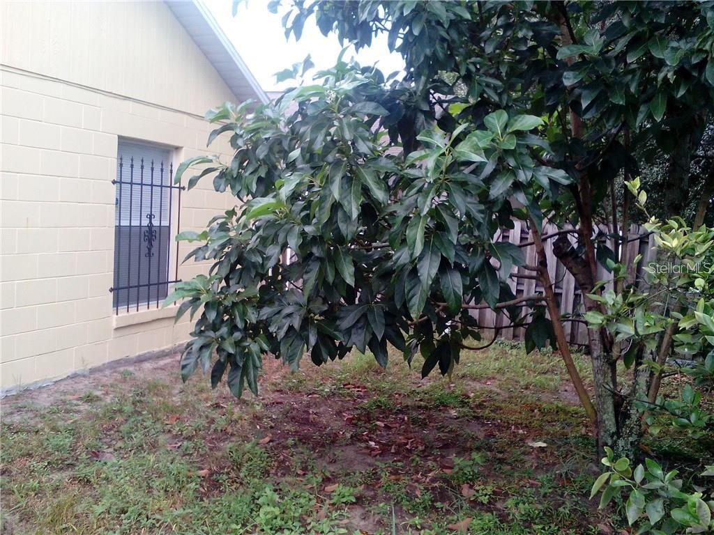 5633 Piney Ridge Drive, FL