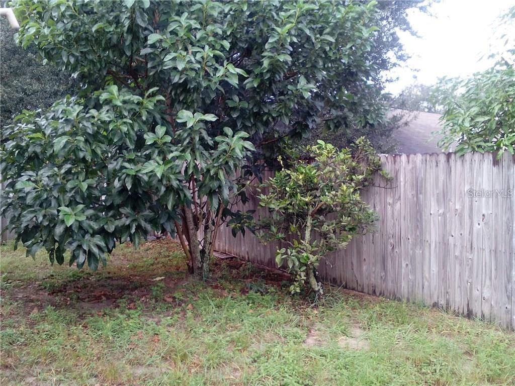 5633 Piney Ridge Drive, FL