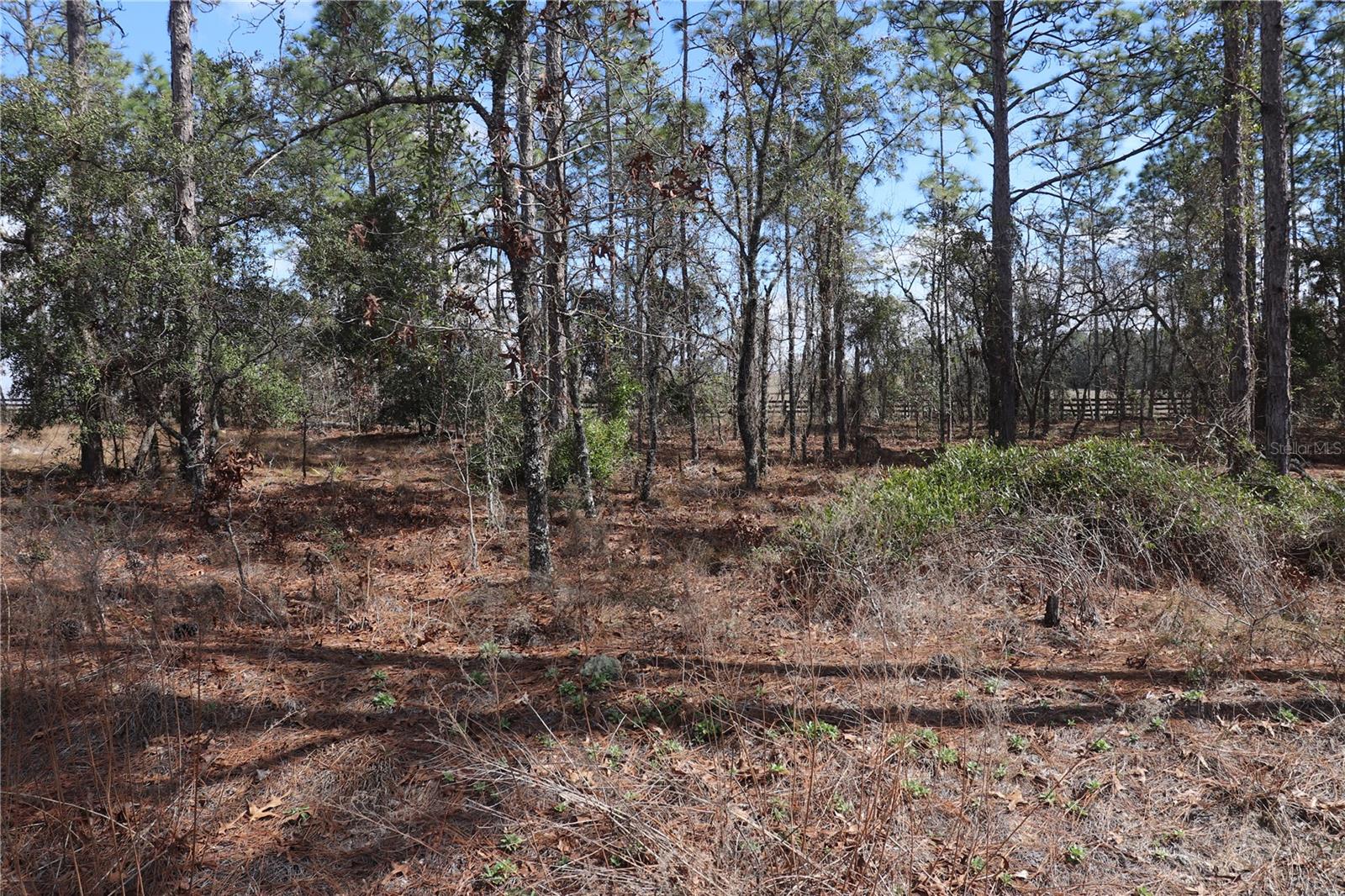 2251 Buena Vista Road, FL