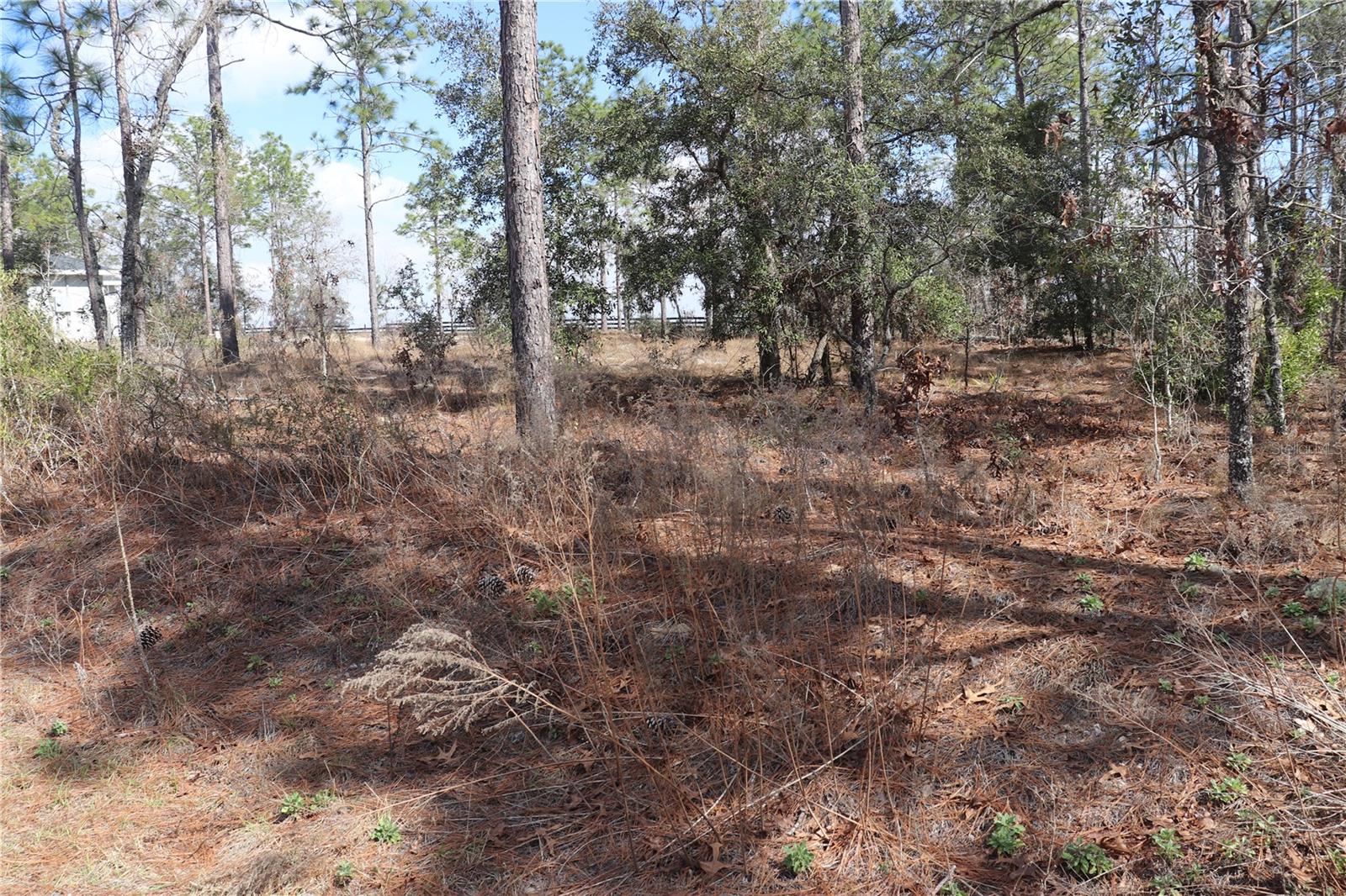 2251 Buena Vista Road, FL