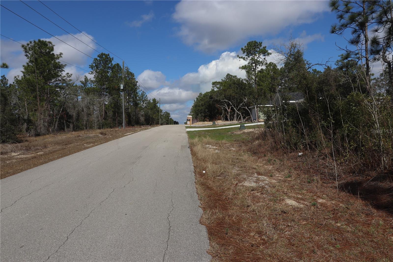 2251 Buena Vista Road, FL