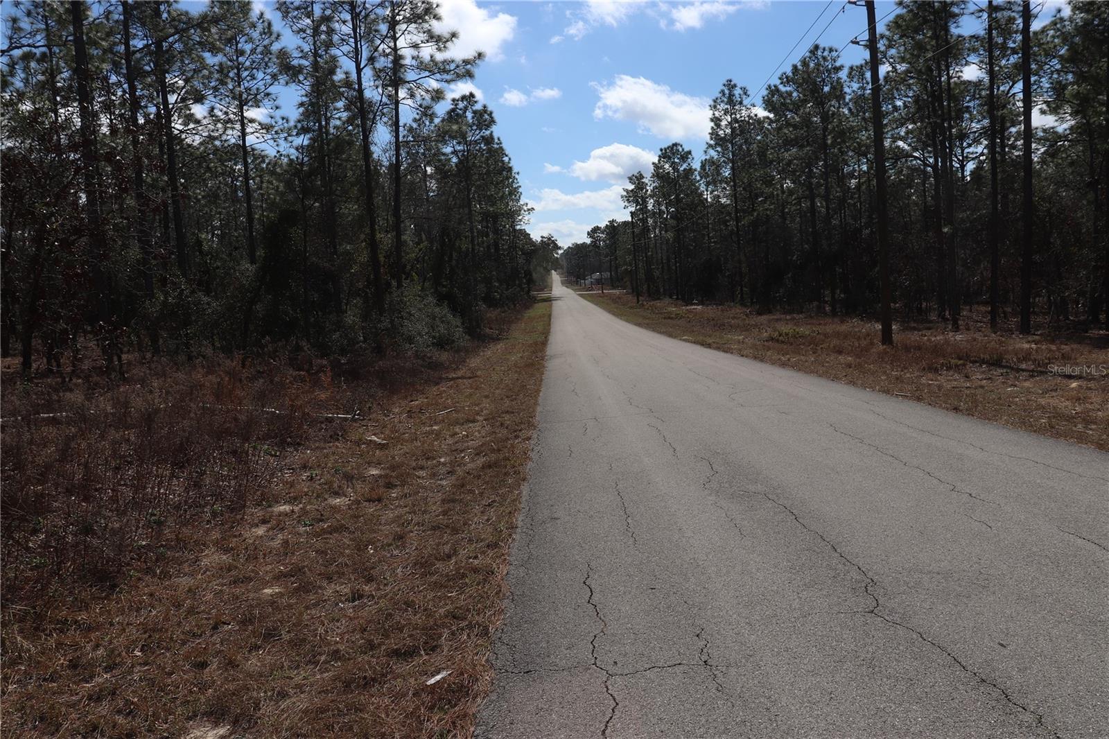 2251 Buena Vista Road, FL