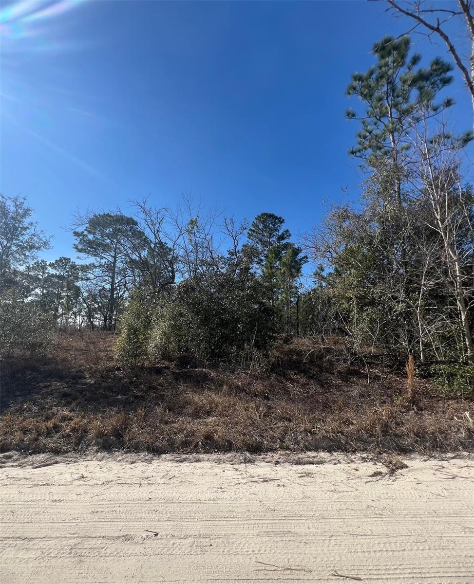 Tbd 186 Terrace, FL