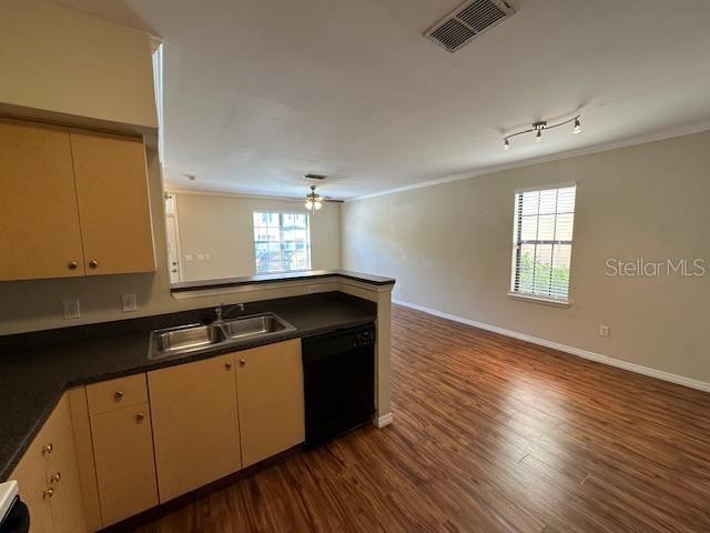 727 Siena Palm Drive, FL