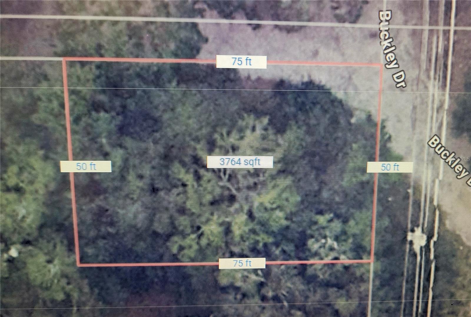 610 Buckley Drive, FL