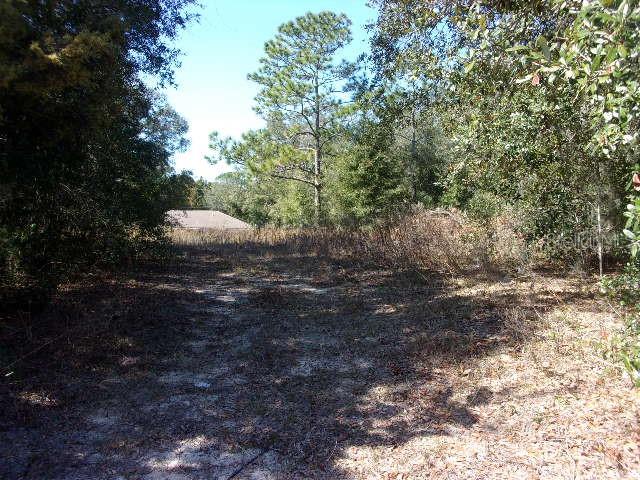 Sw 140th Avenue, FL