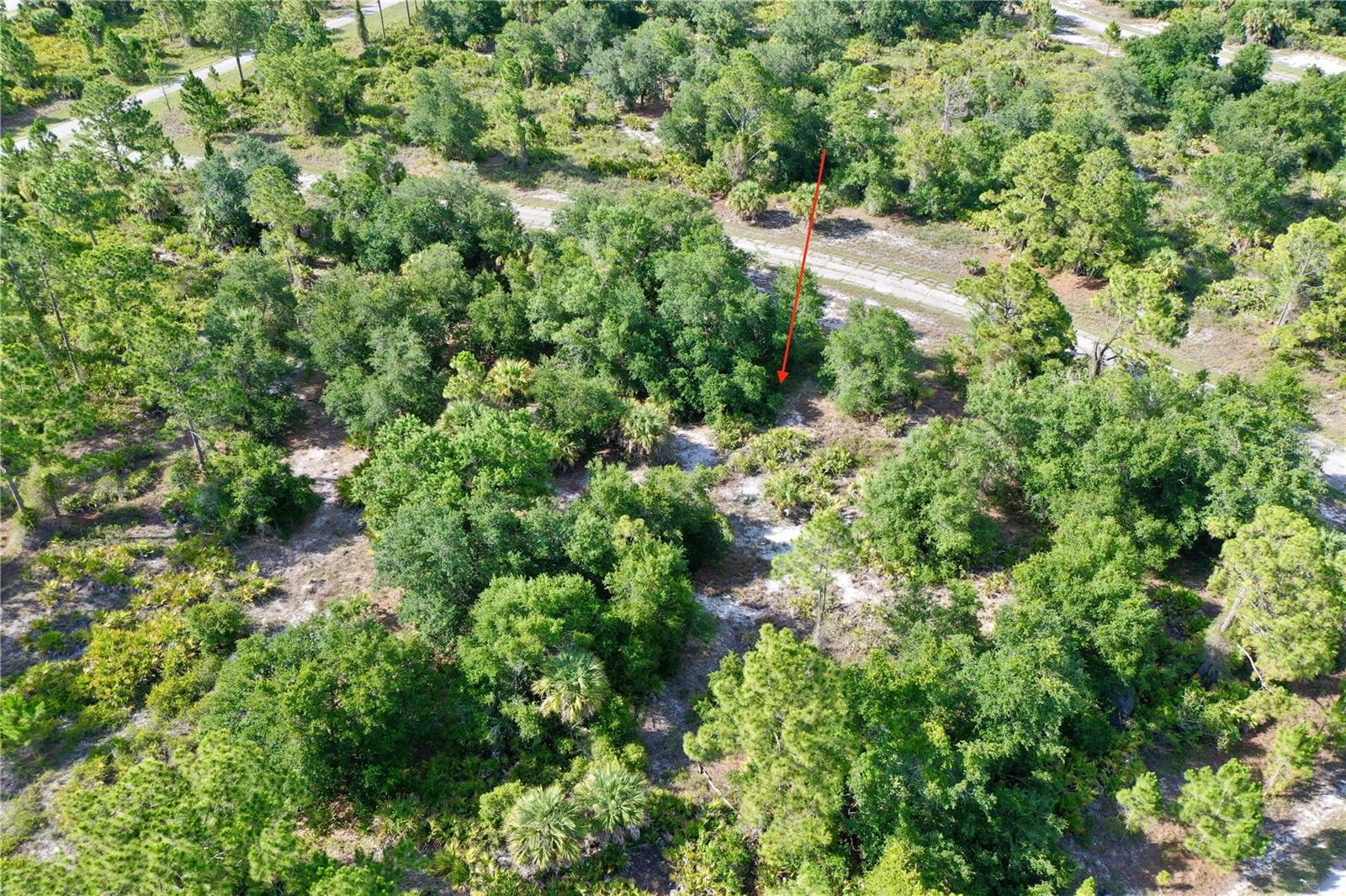 Jersey Street, FL
