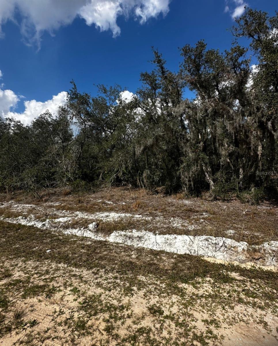 0 Allison Avenue, FL