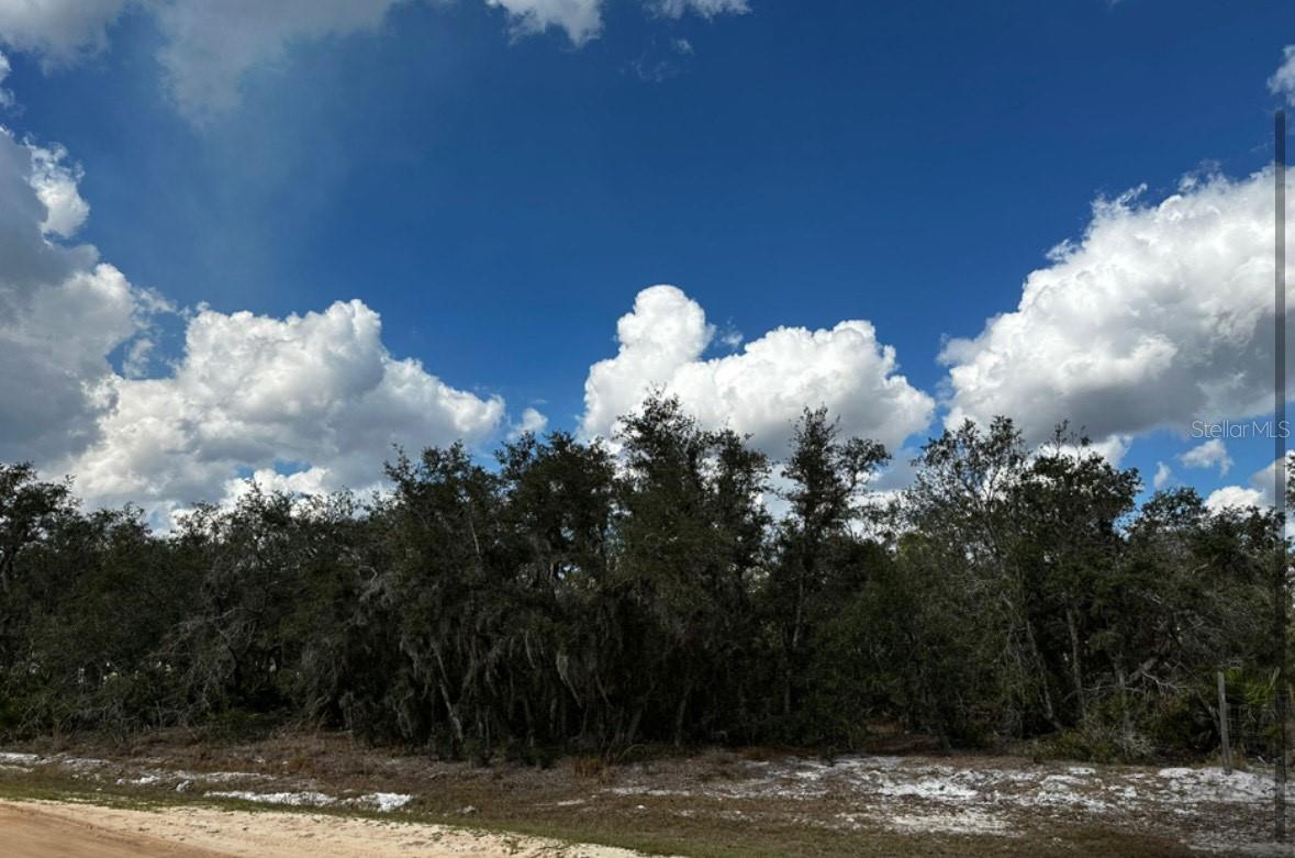 0 Allison Avenue, FL
