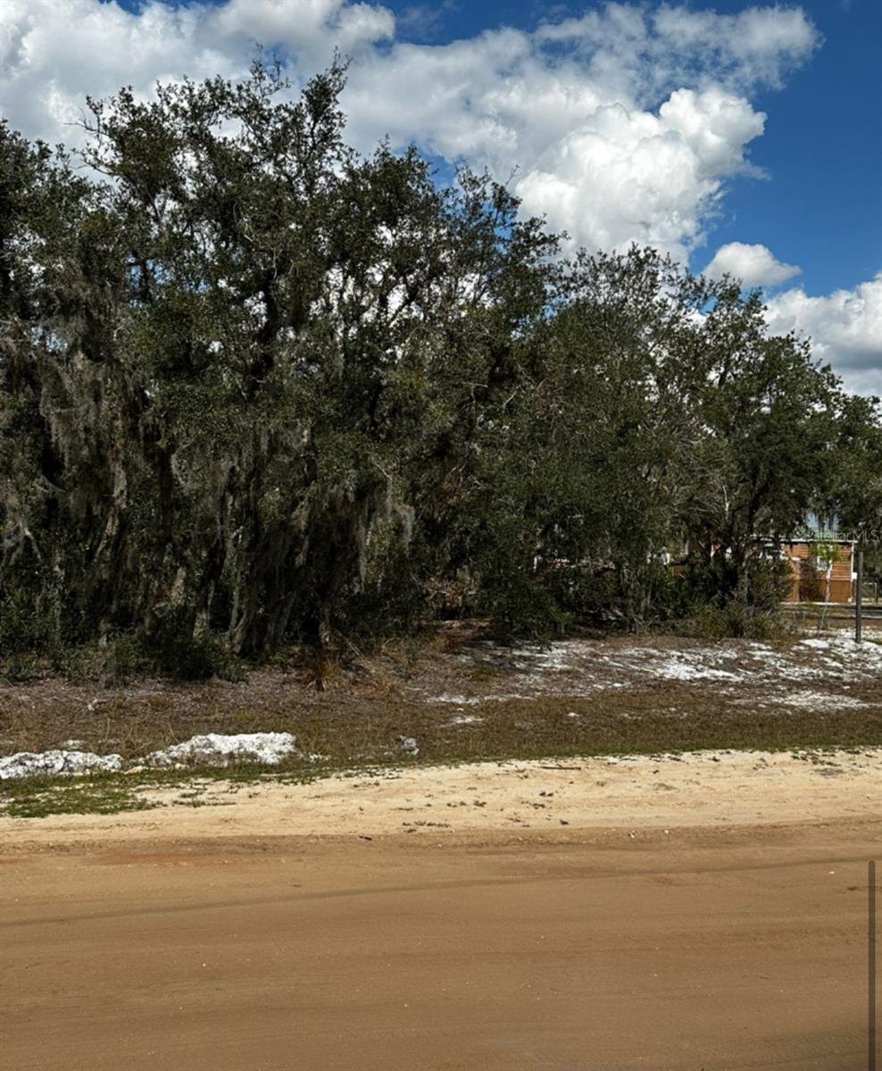 0 Allison Avenue, FL