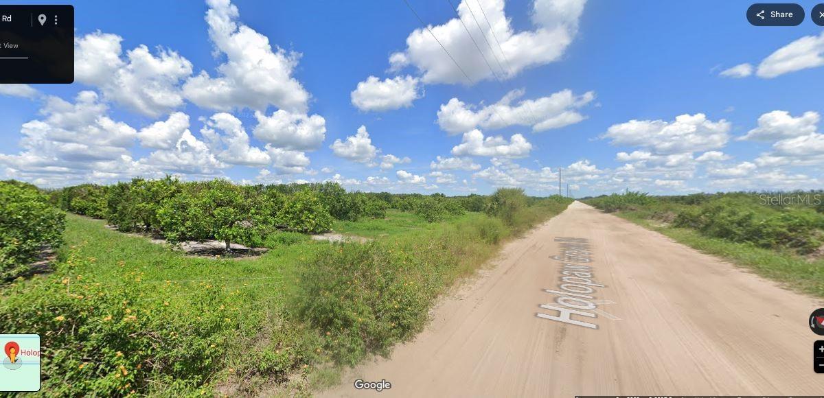 Holopaw Groves Road, FL