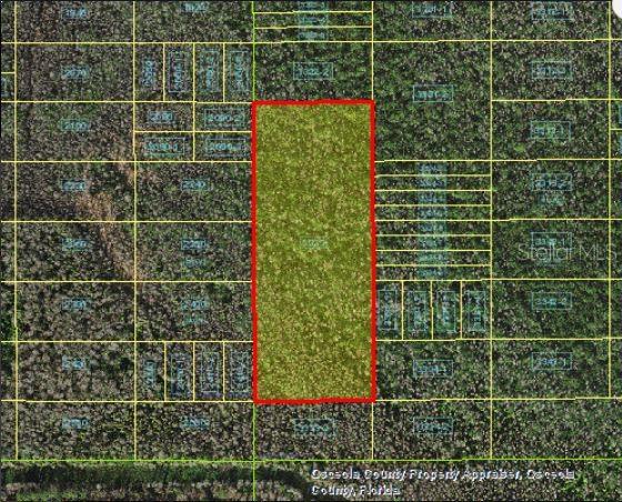 Holopaw Groves Road, FL