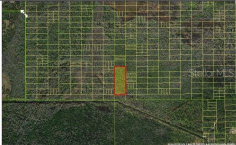 Holopaw Groves Road, FL