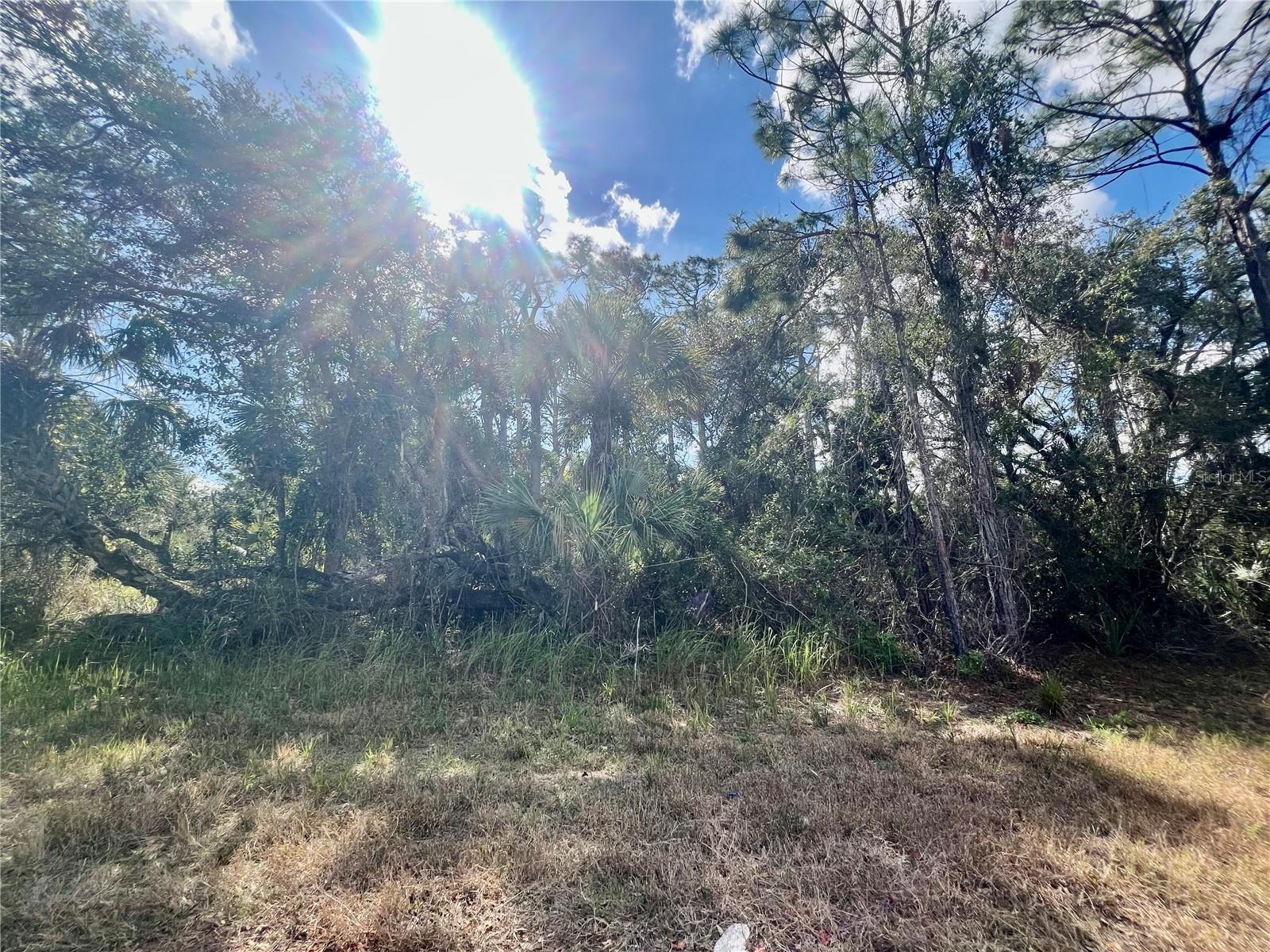 Lot 8 Abbeville Road, FL