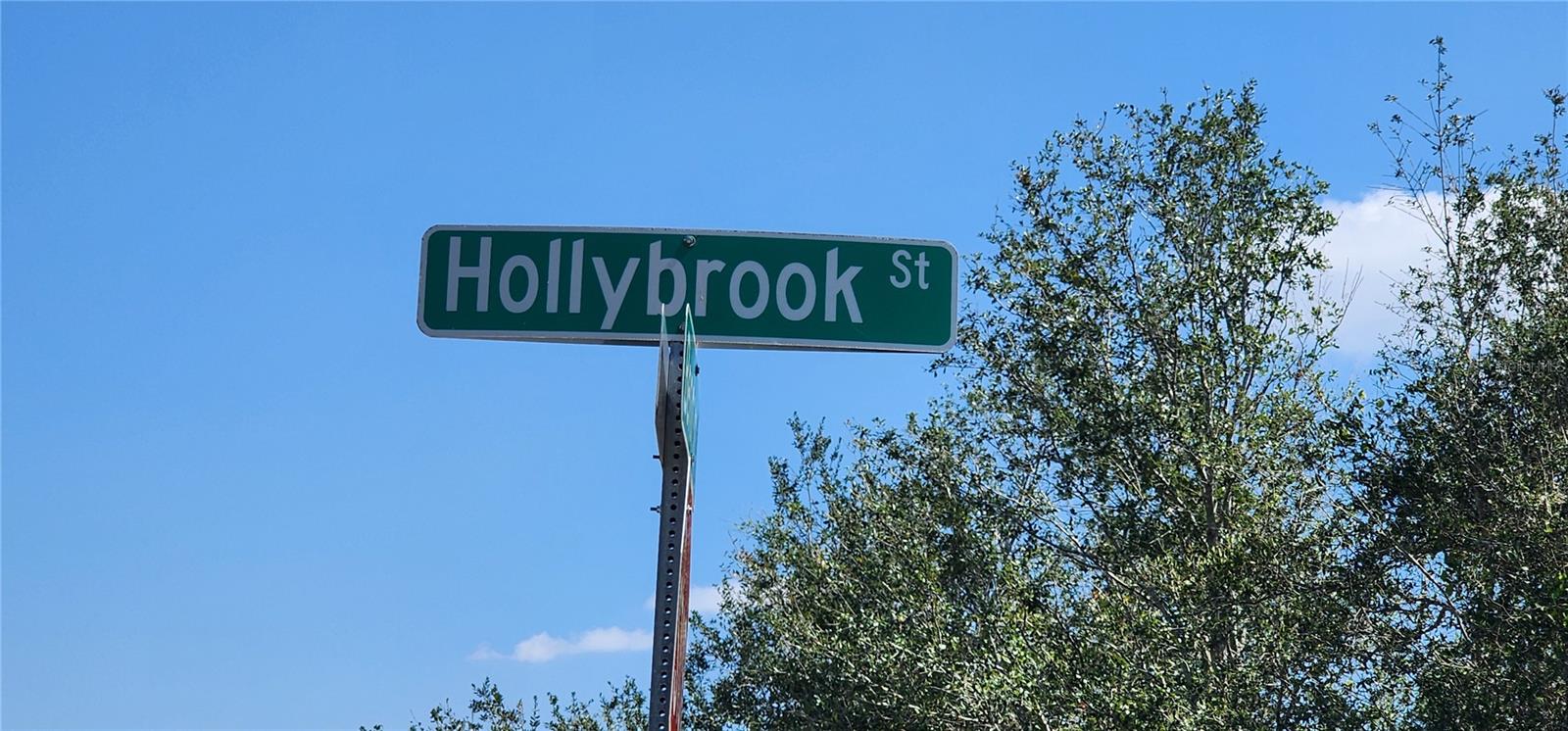 4163 Hollybrook Street, FL