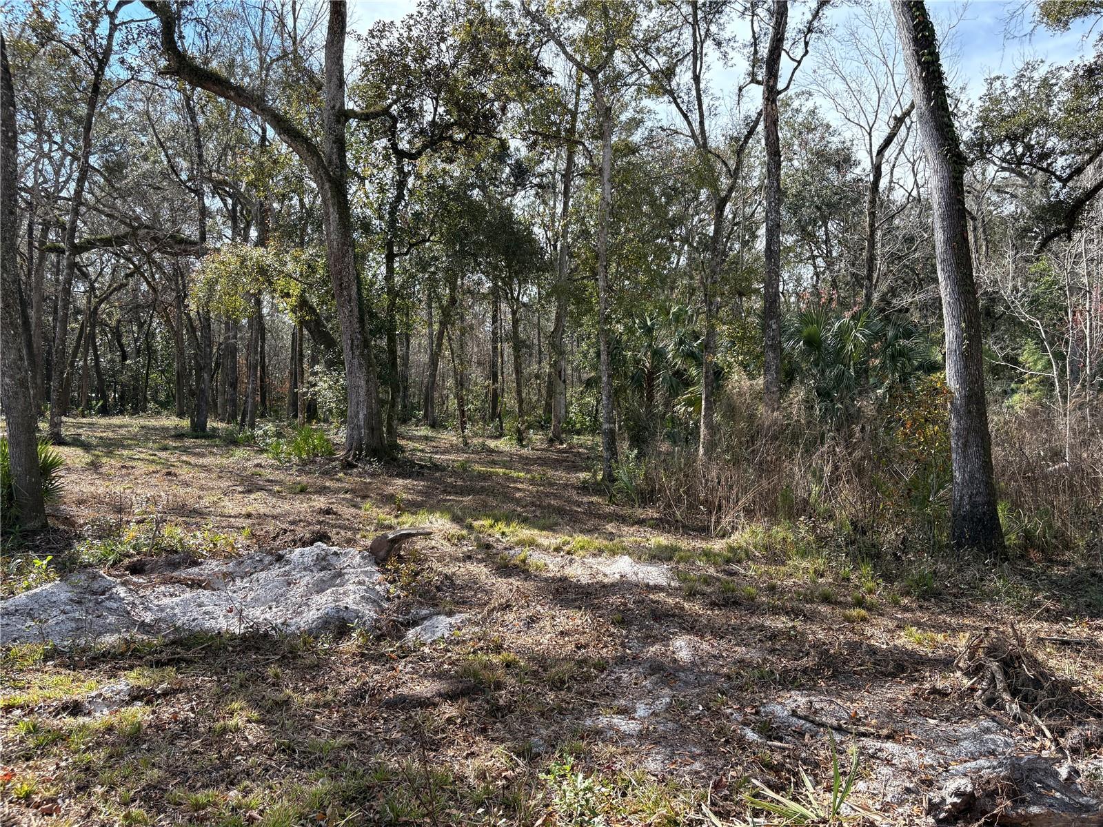 Lake Lindsey Road, FL