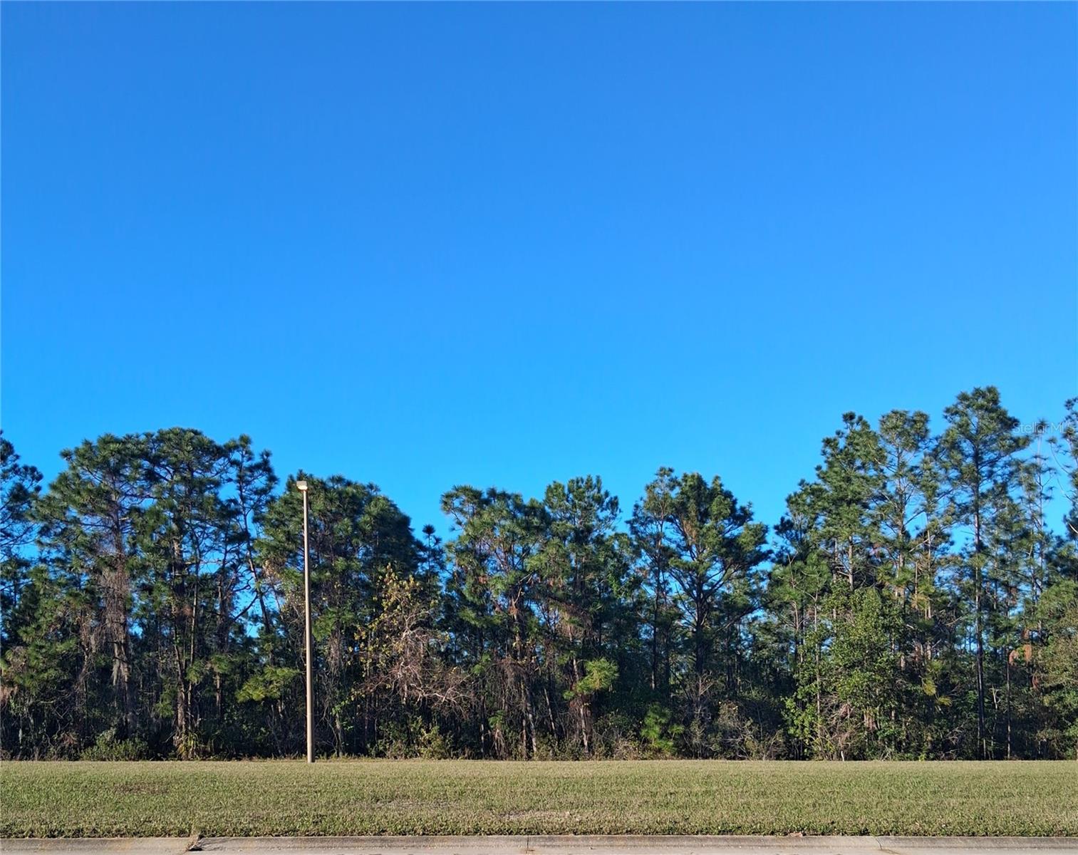 International Drive, FL
