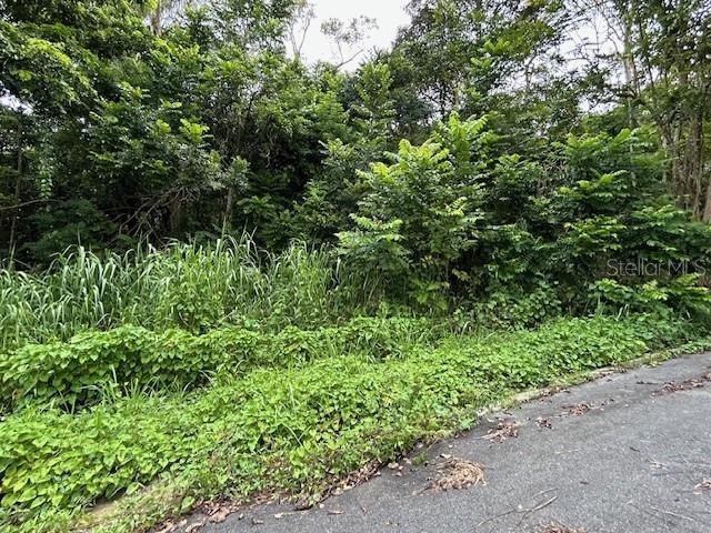 Campo Nuevo-Azucena 2, PR
