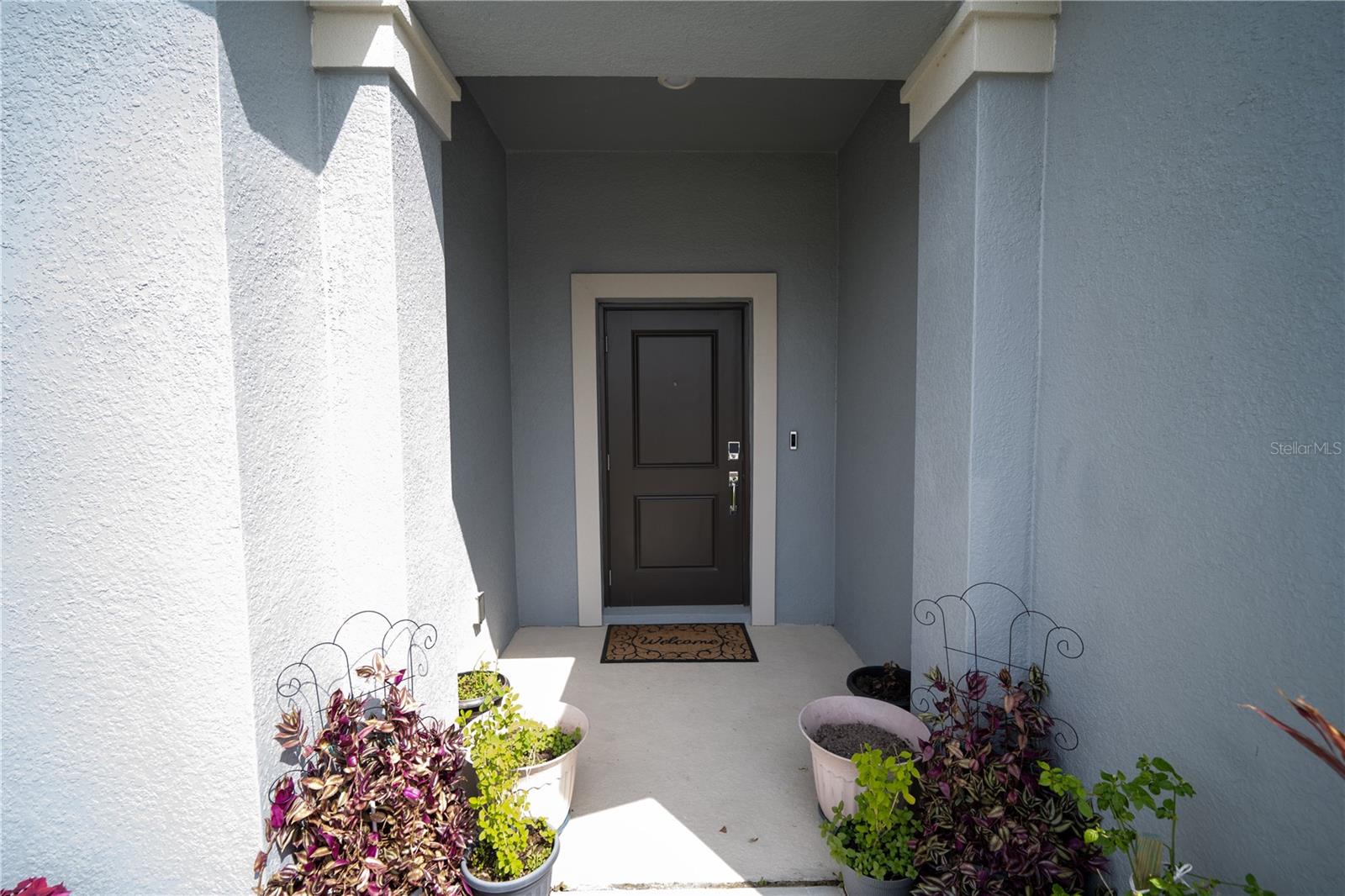 4211 Little Owl Lane, FL