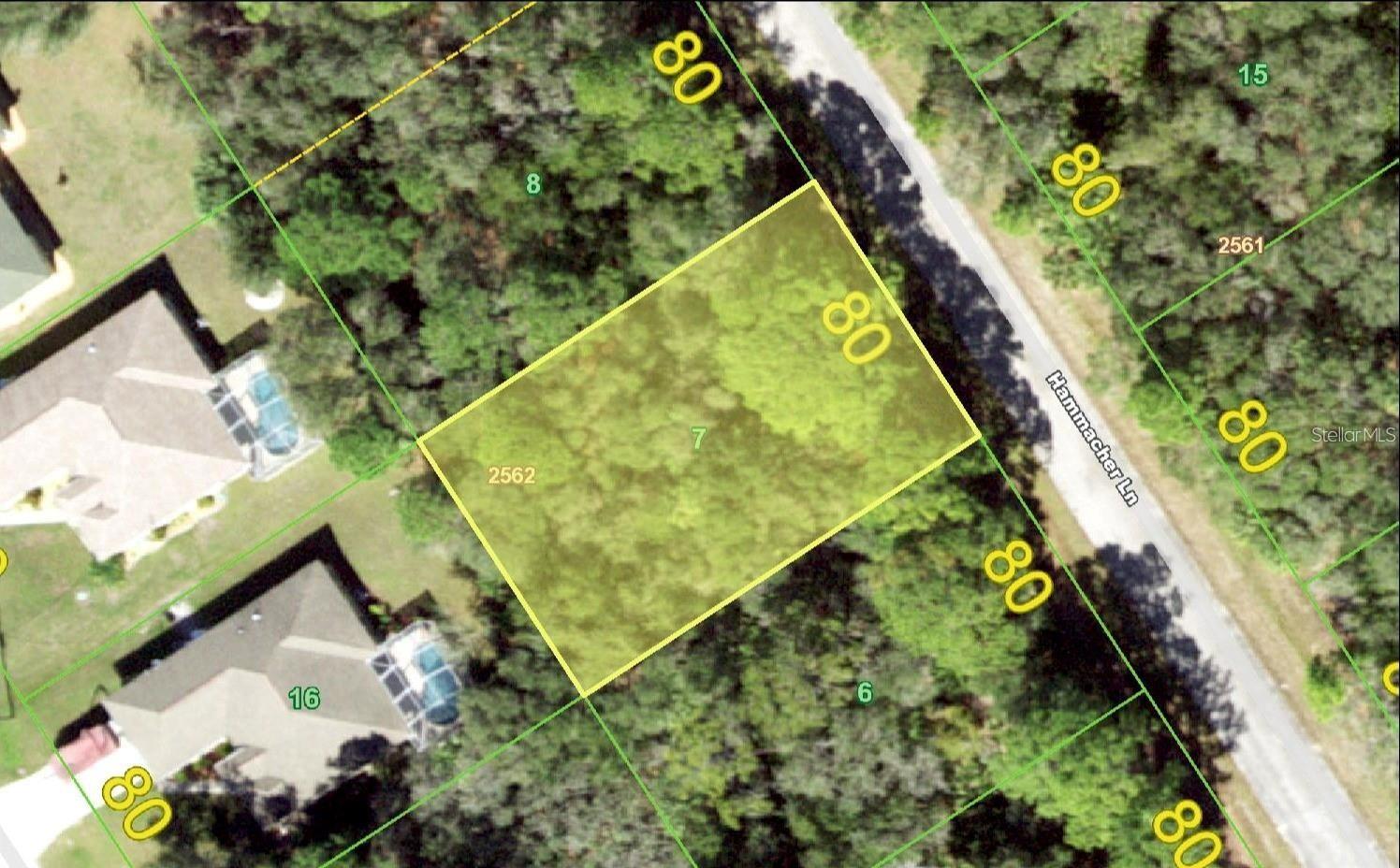 1343 Hammacher Lane, FL
