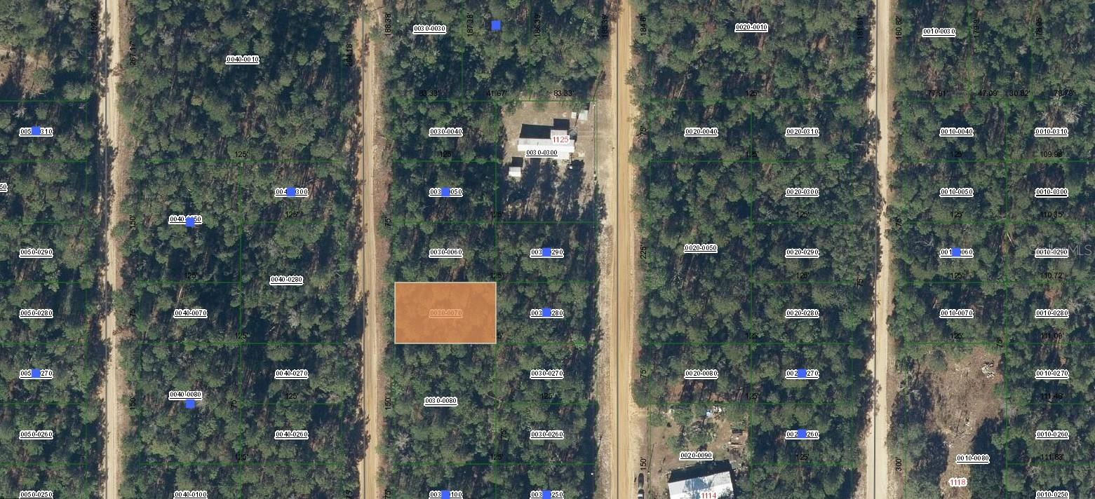 Lot 7 Norman Avenue, FL