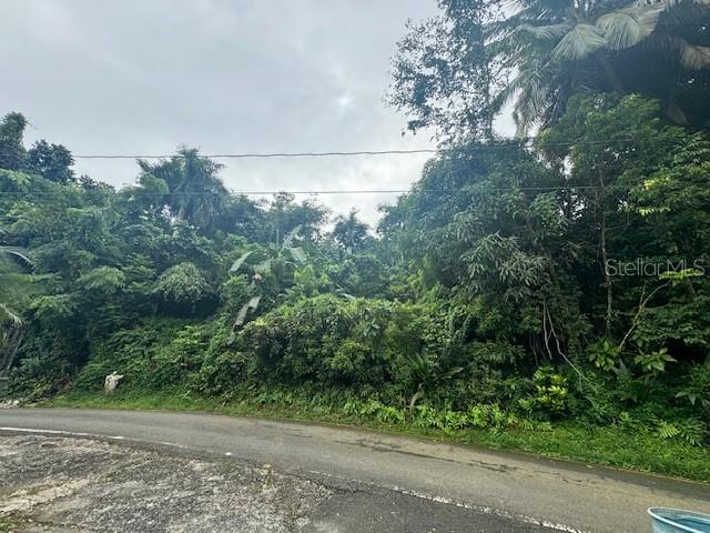 175 Bo San Antonio, PR